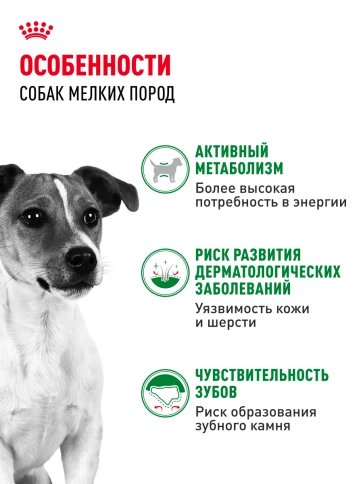 Сухой корм Royal Canin Mini Adult для взрослых собак, 4 кг фото 16