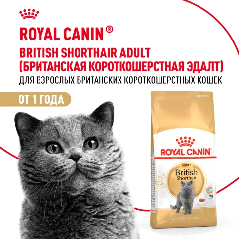 Сухой корм Royal Canin British Shorthair для кошек породы британская короткошерстная, 10 кг фото 14