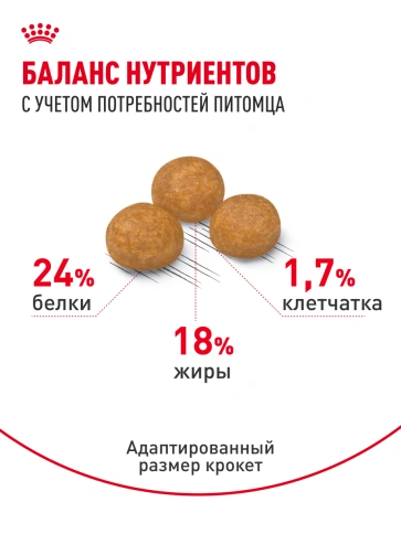 Сухой корм Royal Canin X-Small Adult для собак, 3 кг фото 16