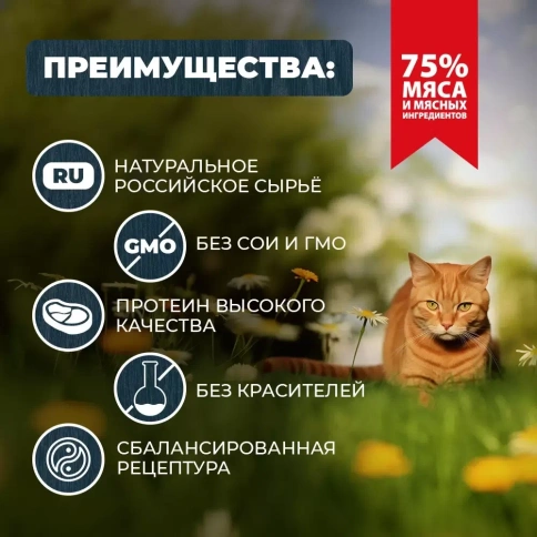 Влажный корм Родные корма Beef для кошек, говядина с языком по-крестьянски, 100 г фото 2