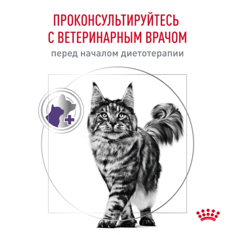 Сухой корм Royal Canin Neutered Satiety Balance для кастрированных котов и стерилизованных кошек до 7 лет, 300 г фото 8