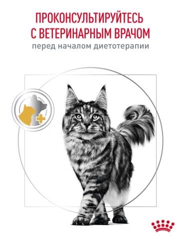 Сухой корм Royal Canin Urinary S/O для кошек при мочекаменной болезни, 350 г фото 19