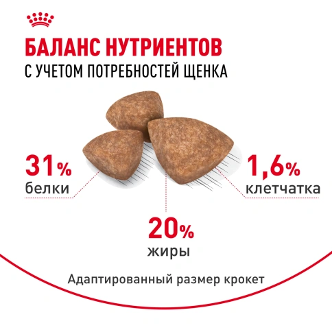 Сухой корм Royal Canin X-Small Puppy для щенков, 1.5 кг фото 5