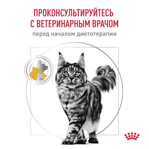 Сухой корм Royal Canin Urinary S/O для кошек при мочекаменной болезни, 1.5 кг фото 9