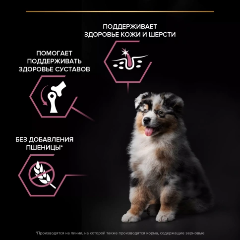 Сухой корм PRO PLAN Salmon для щенков средних пород с чувствительной кожей, с высоким содержанием лосося, 12 кг фото 2