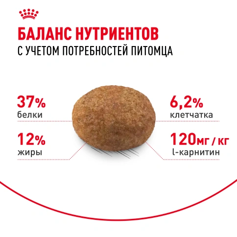 Сухой корм Royal Canin Sterilised для кастрированных котов и стерилизованных кошек, 400 г фото 11