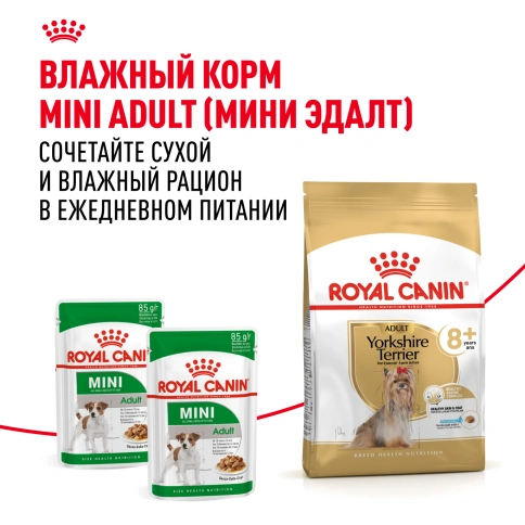Сухой корм Royal Canin Yorkshire Terrier Adult 8+ для собак породы йоркширский терьер, 500 г фото 8