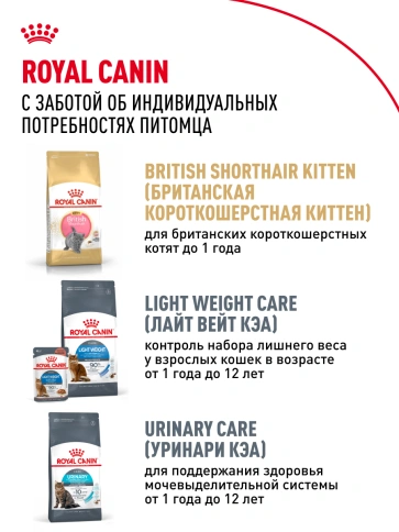 Сухой корм Royal Canin British Shorthair для кошек породы британская короткошерстная, 2 кг фото 27