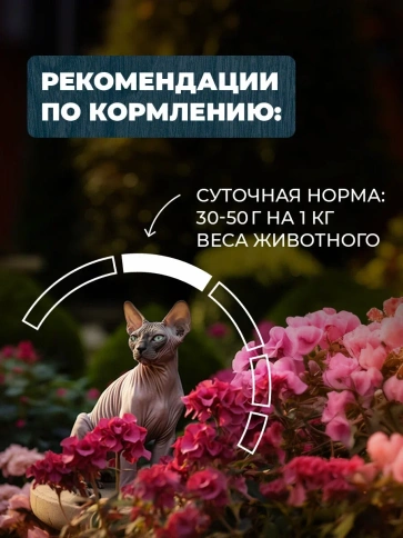 Влажный корм Родные корма Veal & Turkey для кошек, телятина и индейка по-пожарски, 410 г фото 5