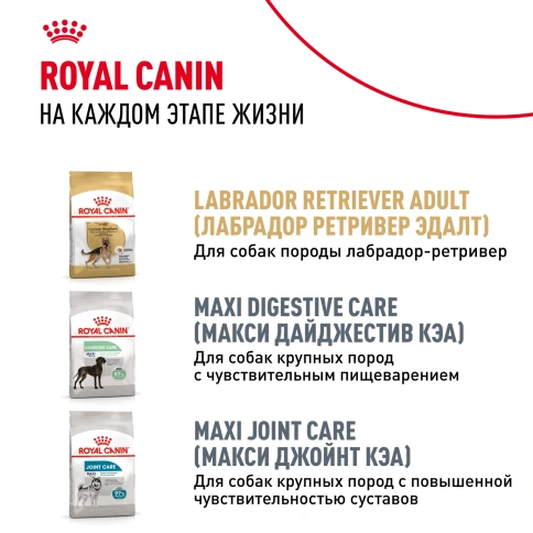 Сухой корм Royal Canin Labrador Retriever Puppy для щенков, 3 кг фото 9