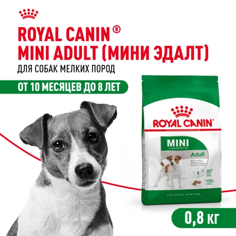 Сухой корм Royal Canin Mini Adult для взрослых собак, 800 фото 1