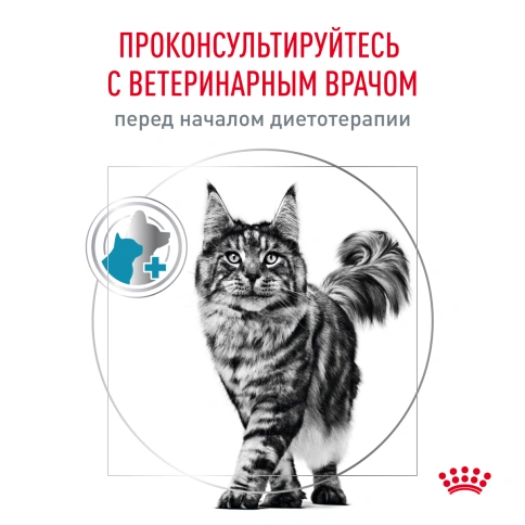 Сухой корм Royal Canin Hypoallergenic для кошек, 2 кг фото 8