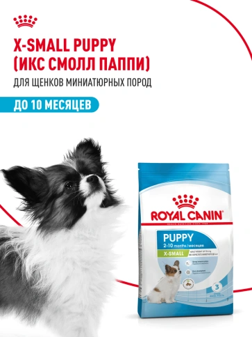 Сухой корм Royal Canin X-Small Puppy для щенков, 1.5 кг фото 16