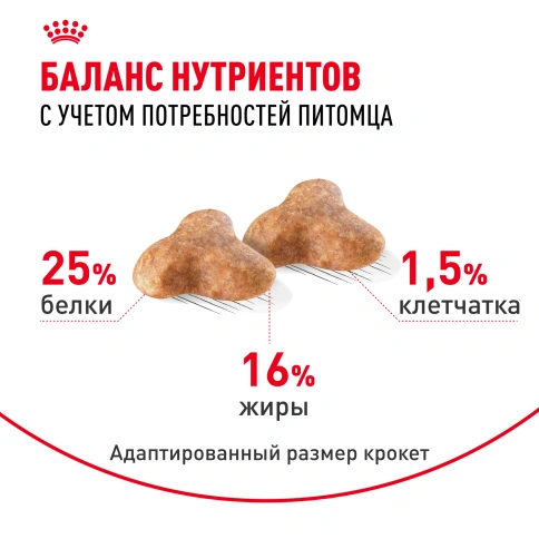 Сухой корм Royal Canin Pug Adult для взрослых собак, 1.5 кг фото 4
