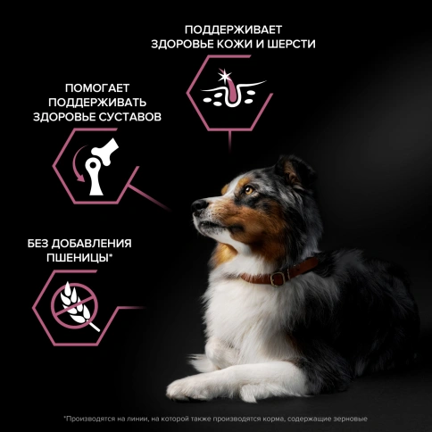Сухой корм Purina Pro Plan Medium Sensitive Skin для взрослых собак средних пород, лосось и рис, 3 кг фото 2