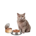 Влажный корм для Кошек